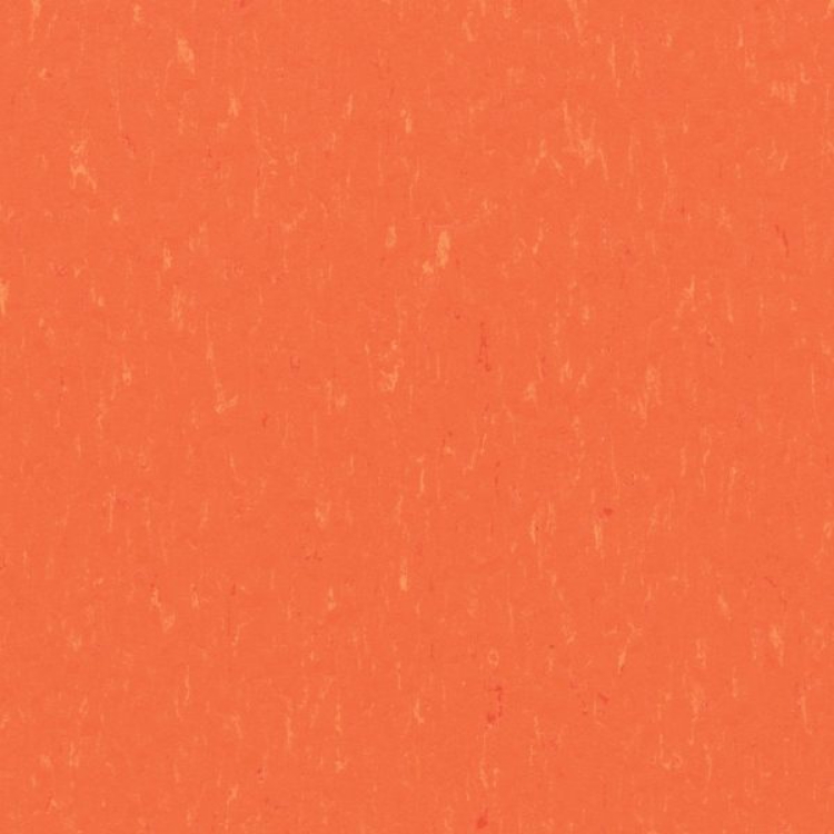 Pilt Marmoleum Piano 2.5  zinnia 3651