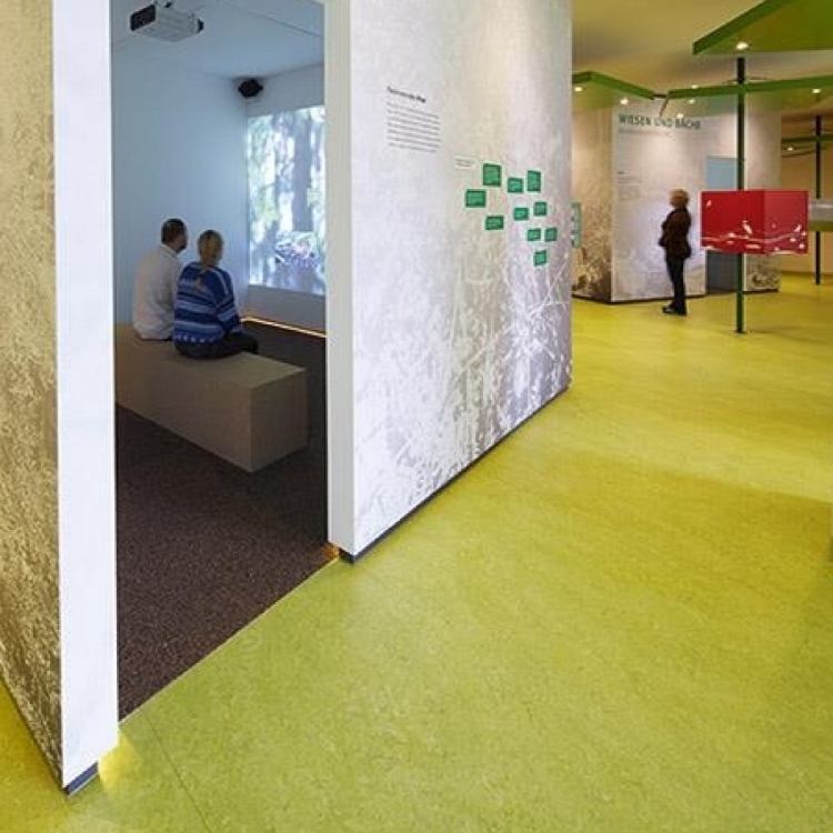 Pilt Marmoleum Real 2.5 chartreuse 3224 (A)