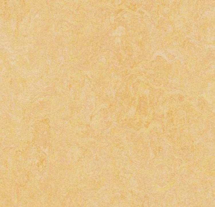 Pilt Näidis Marmoleum Fresco natural corn 3846