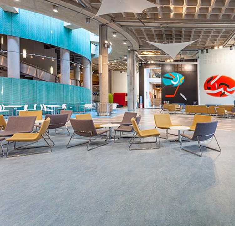 Pilt Marmoleum Real 2.5 spa 3219