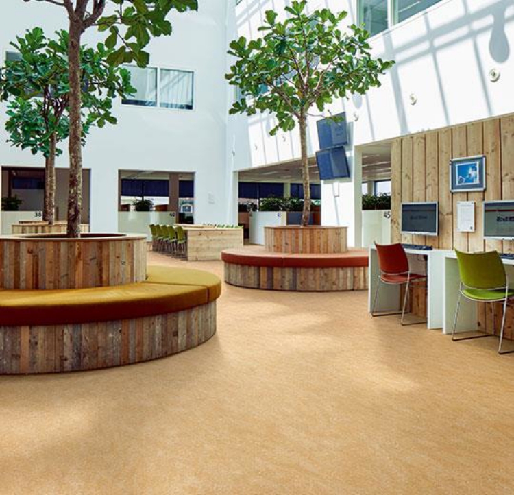 Pilt Marmoleum Real 2.0 van gogh  3173 (A)