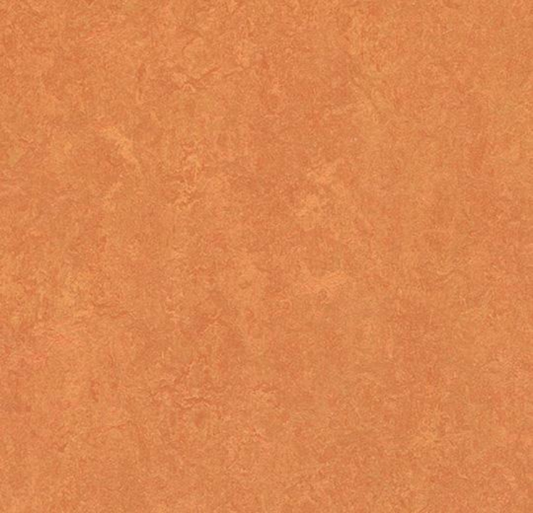 Pilt Marmoleum Fresco 2.5 African desert 3825