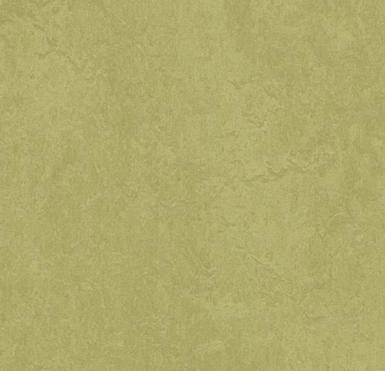 Pilt Näidis Marmoleum Fresco 2.5 avocado 3265