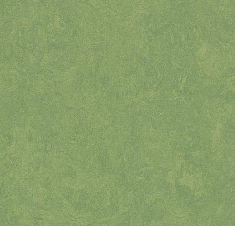 Pilt Marmoleum Fresco 2.5 leaf 3260