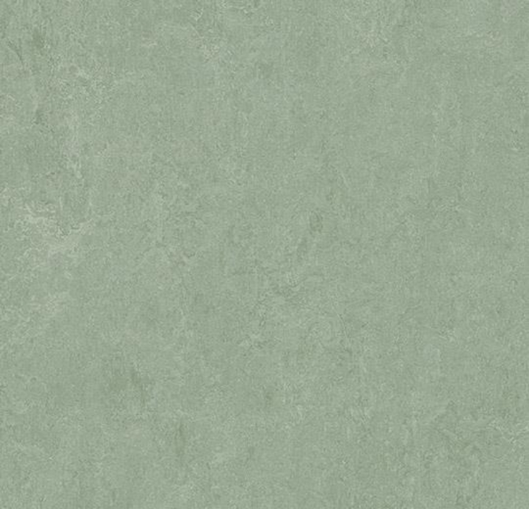Pilt Marmoleum Fresco 2.5 sage 3891