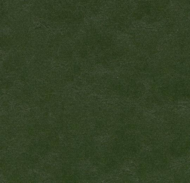 Pilt Näidis Marmoleum Walton 2.5 bottle green 3359