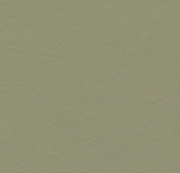 Pilt Marmoleum Walton 2.5 rosemary green 3355