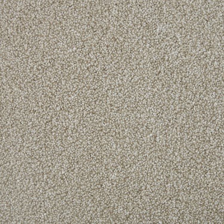 Pilt Näidis Sensation Heathers macadamia