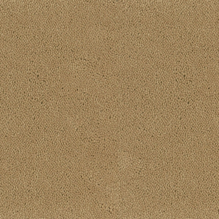 Pilt Näidis Asteranne A411 2045