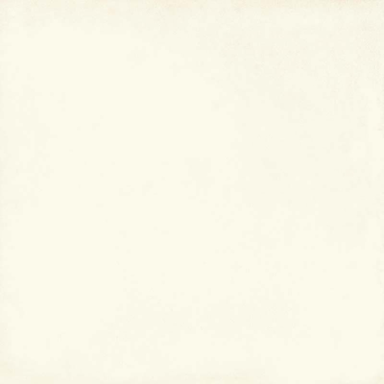 Pilt SA Vita bianco 20 x 20R luc