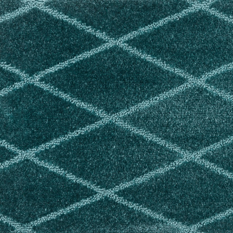 Pilt Rullvaip Aspiration Diamond 174 spruce