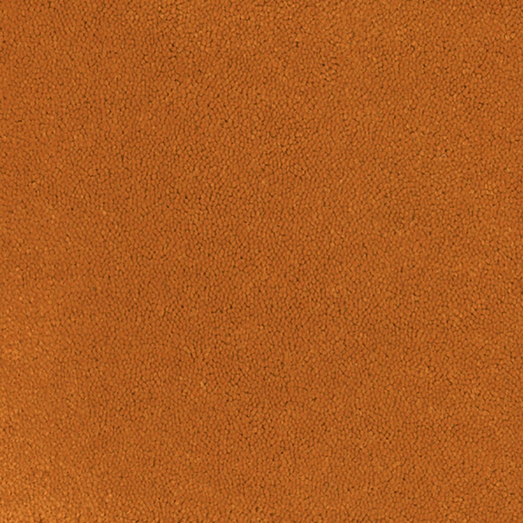 Pilt Rullvaip Asteranne A411 5101