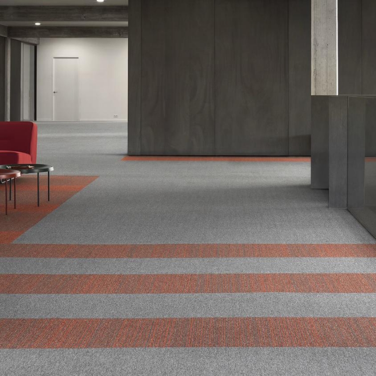 Pilt Plaatvaip Essence AA90 9504