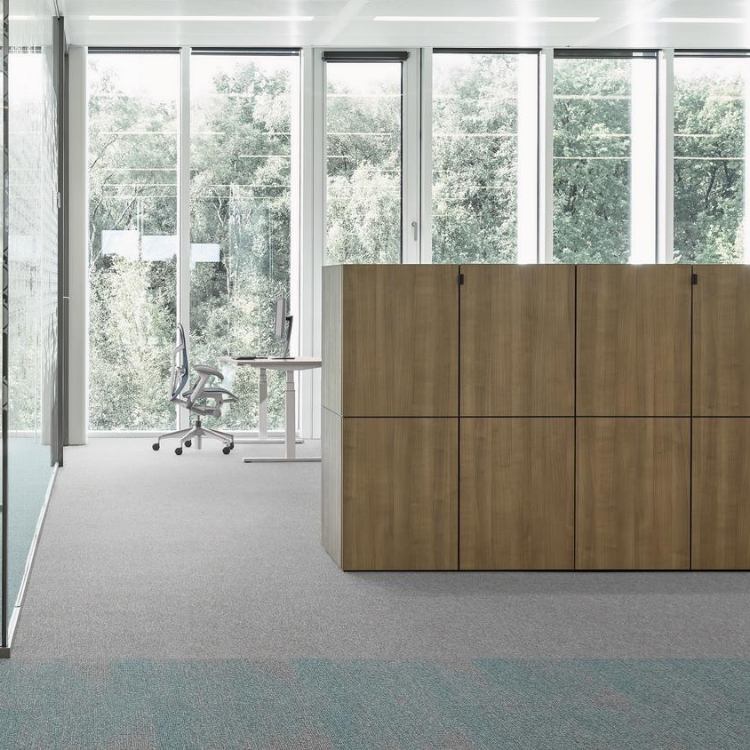 Pilt Plaatvaip Essence AA90 9504