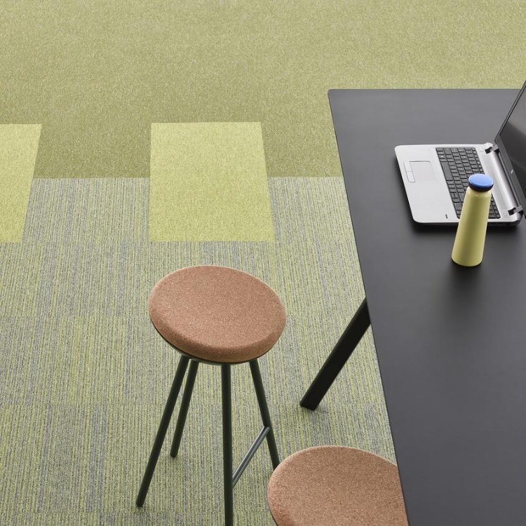 Pilt Plaatvaip Essence AA90 6408