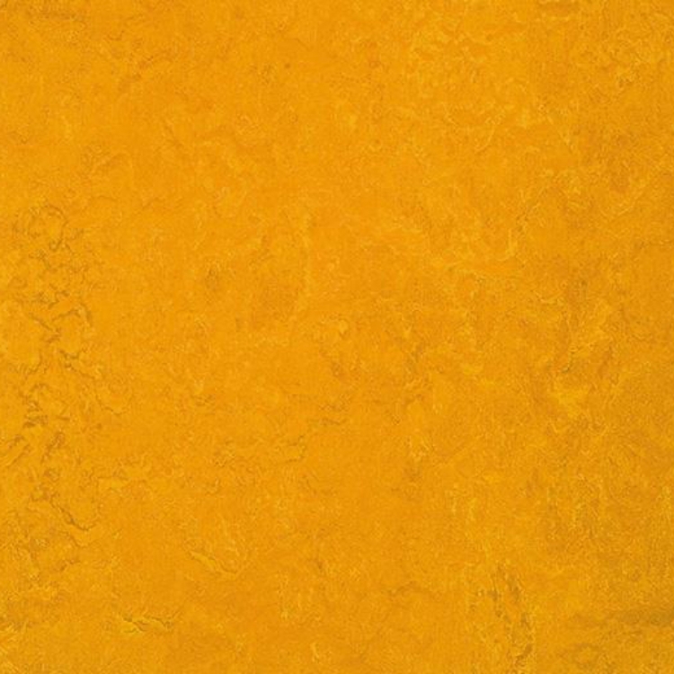Pilt Näidis Marmoleum Fresco 2.5 golden sunset 3125