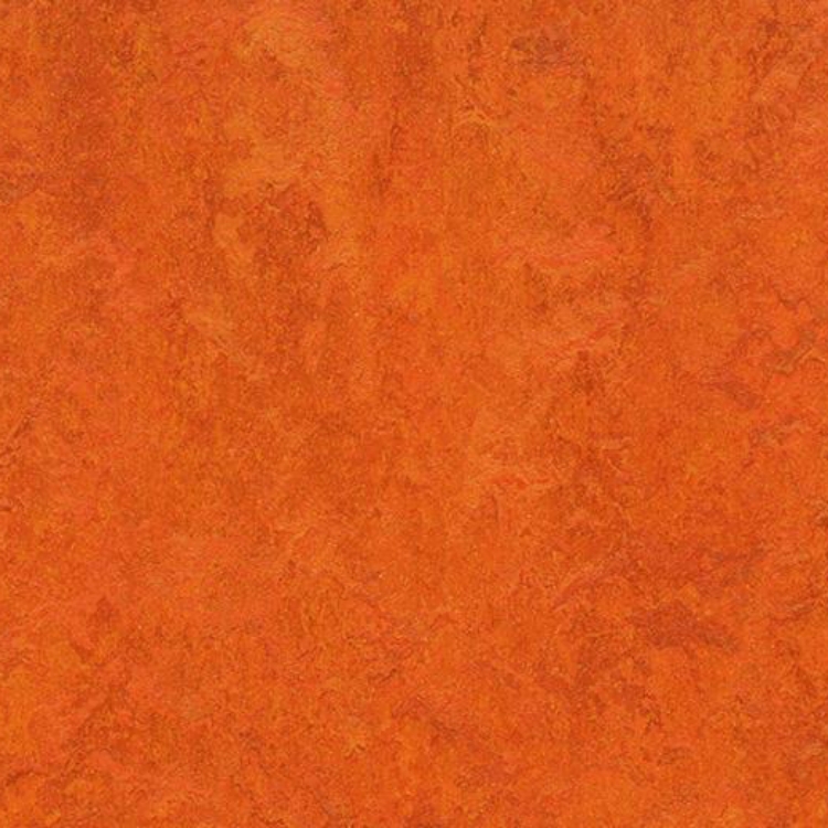 Pilt Näidis Marmoleum Fresco 2.5 kyoto 3126