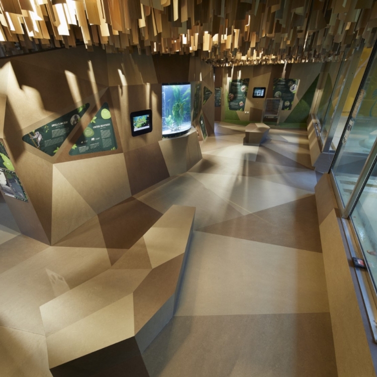 Pilt Marmoleum Fresco 2.5 sparrow 3252 (A)