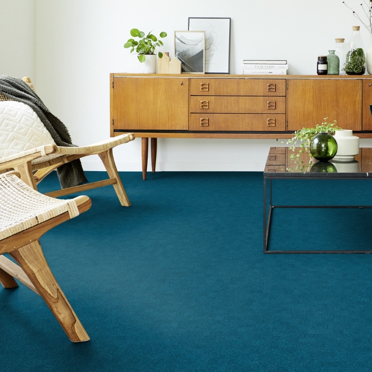 Pilt Plaatvaip Palatino A072 8111