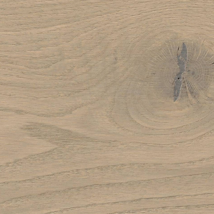 Pilt Näidis HARO 4000 Plank TAMM sand grey Markant naturaLin+ 538943