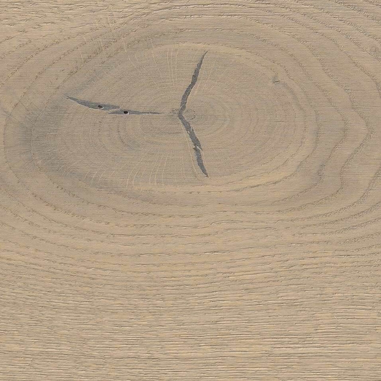 Pilt Näidis HARO 4000 Plank TAMM sand grey Sauvage 4V naturaLin+ 538945