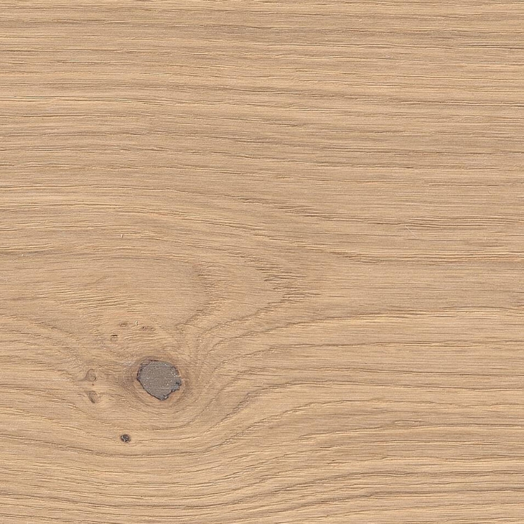 Pilt Näidis HARO 4000 TAMM puro white Markant 2V permaDur 538960