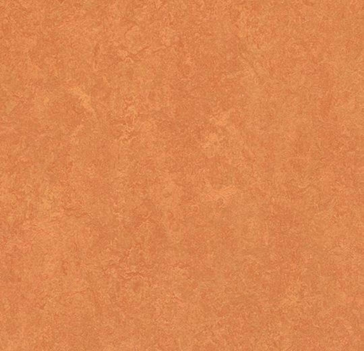 Pilt Näidis Marmoleum Fresco Decibel 3,5 african desert 382535