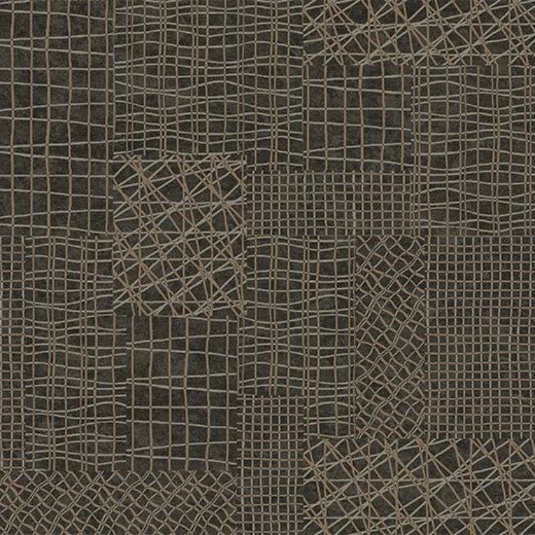 Pilt Rullvaip Flotex Vision 560014 Network Ebony