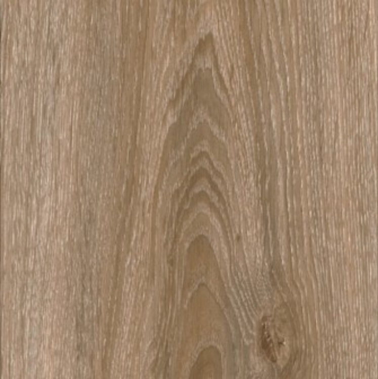Pilt Näidis Moduleo 55 Woods blackjack oak 22229
