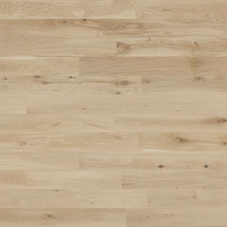 Parkett Univers XL 2,5 Tamm Avena 2V lakk 