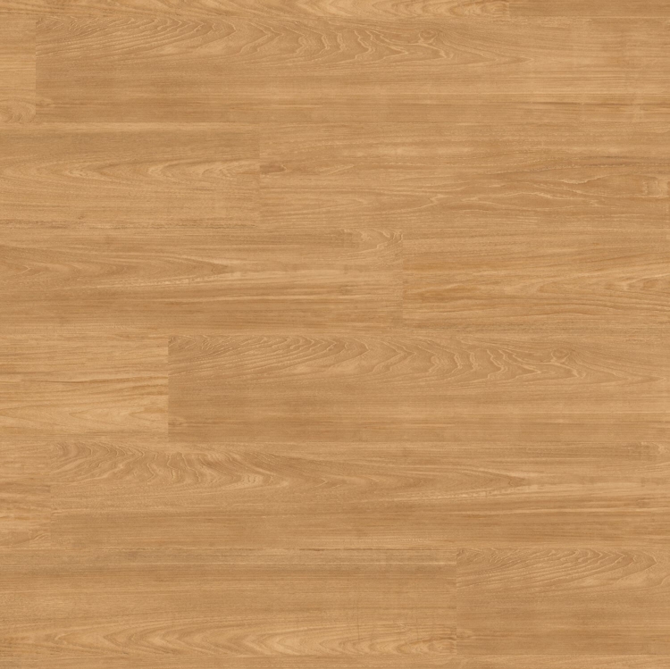 Pilt Näidis Starfloor Click 55 patina ash warm natural