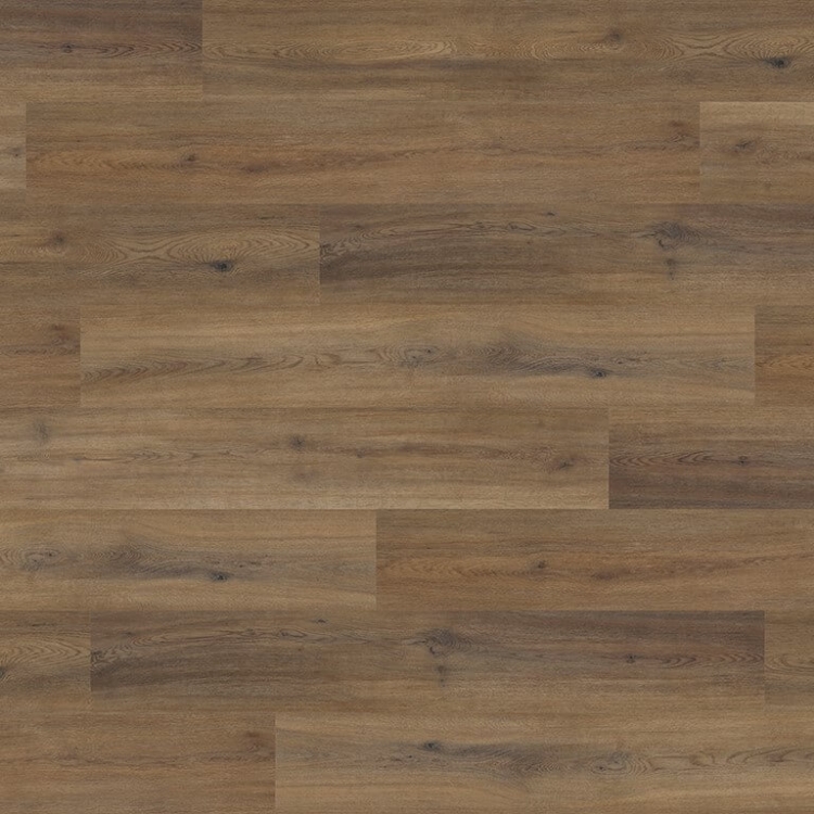 Pilt Näidis Camaro Wood astoria oak 2259